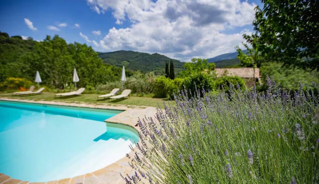 Converted farmhouse apartment, Swimming Pool, free WIFI (Masolino)