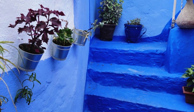 Dar Ennadi Terrace & Tranquility