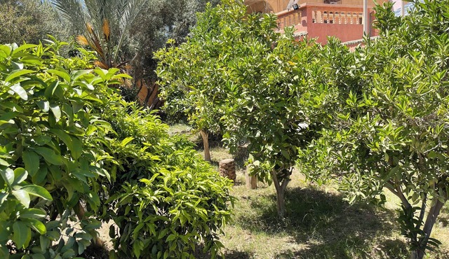 Dar Mona– Your Tranquil Escape Near TaroudantnJust 3km from Taroudant center