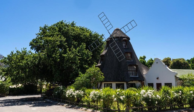 De Hollandsche Molen