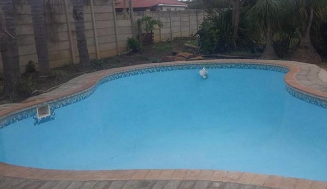 Emangweni Guest House in Vryheid