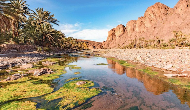 Family Stay Ouarzazate