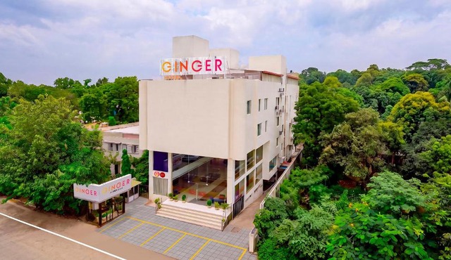 Ginger Bhavnagar