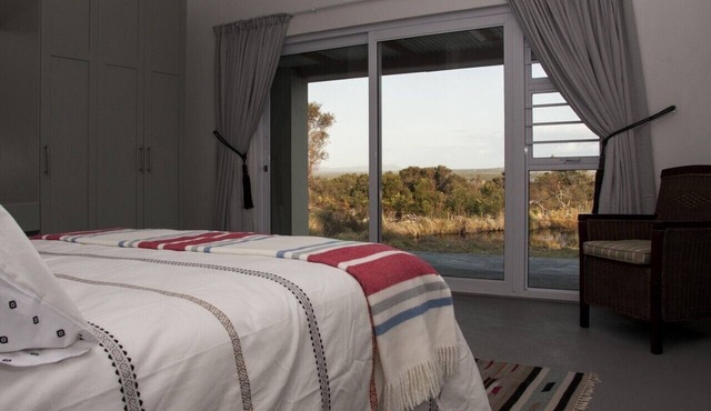 Groeneweide in Gansbaai