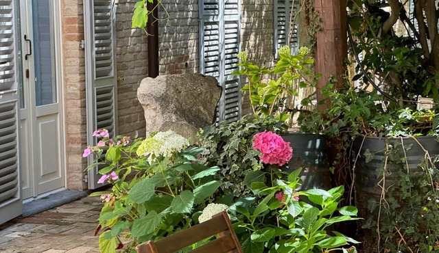House with a garden, downtown, 7 km from the beaches.