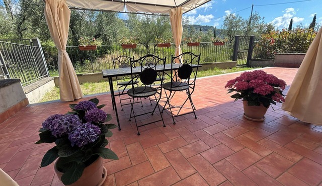 La Terrazza degli Ulivi - Cortona View