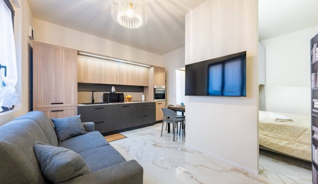 Modern 44 square meters studio apartment (with separate sleeping area), perfect for four people, located on the first floor of a recently renovated 1960s building with elevator (NOT accessible to disabled guests).The property enjoys an excellent location