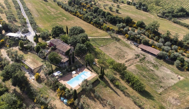 Olive tree house