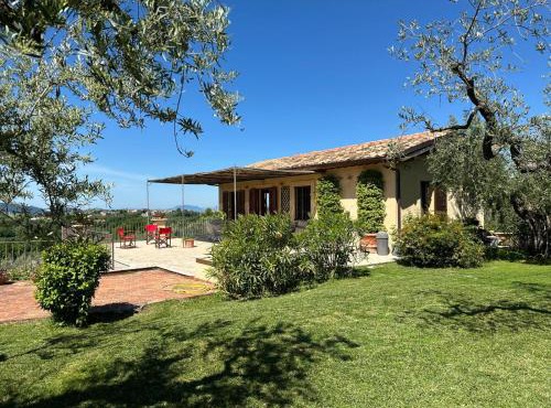 Olivella e Oleandra in Ginestra