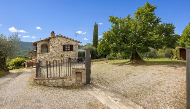 Oliveto Del Cantarello
