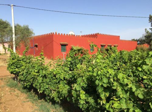 premium farmhouse with pool Rabat