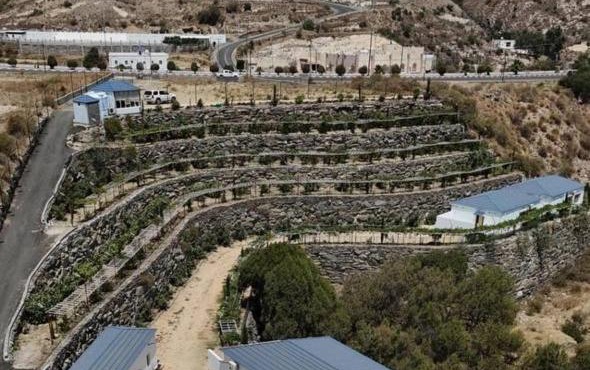 Residential compound