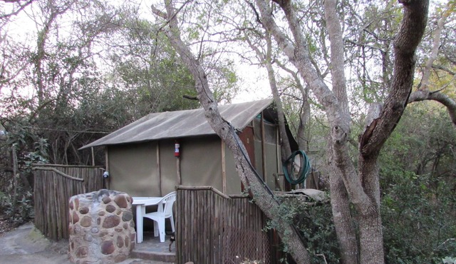 Romantic canvas pad on river, share shower with monkeys and listen to the lions