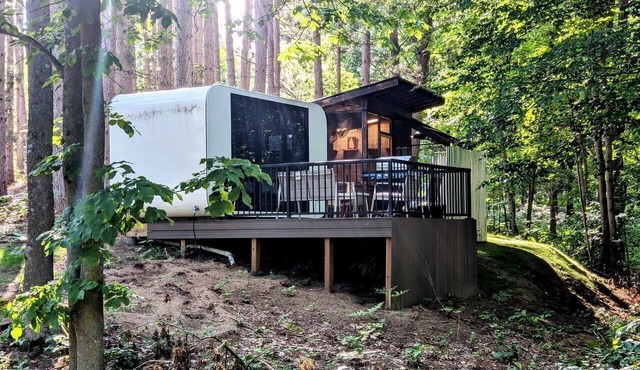 Secluded Modern Tiny House with Wood-Fired Hot Tub Near Trails in Sears, Michigan in Sears