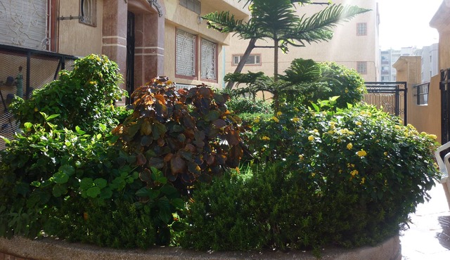 Spacious apartment - 84m2- 200m of the ocean in Morocco Eljadida