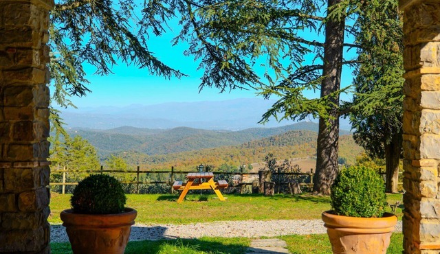 Stunning private villa with WIFI, private pool, A/C, TV and pets allowed, close to Arezzo