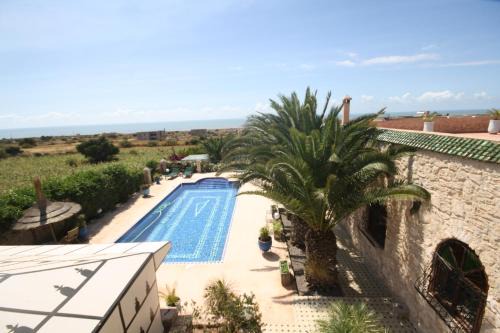 Suite majorelle
