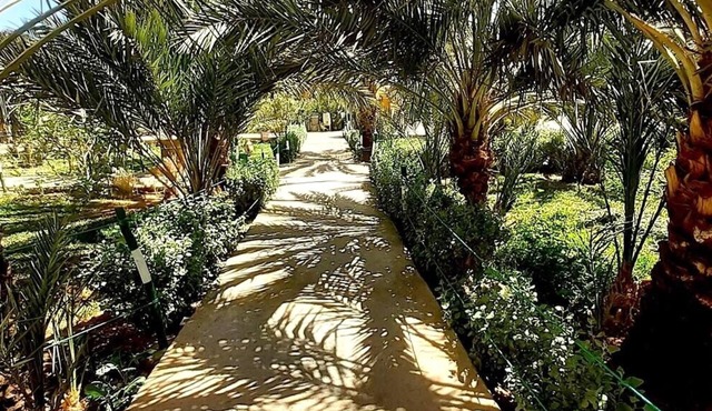 Sun Palmeraie
