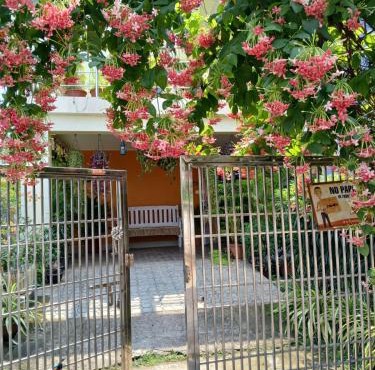 The Basic in Bhubaneshwar