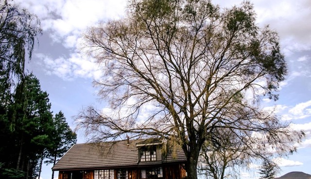The Log Cabin at Elgin in Underberg
