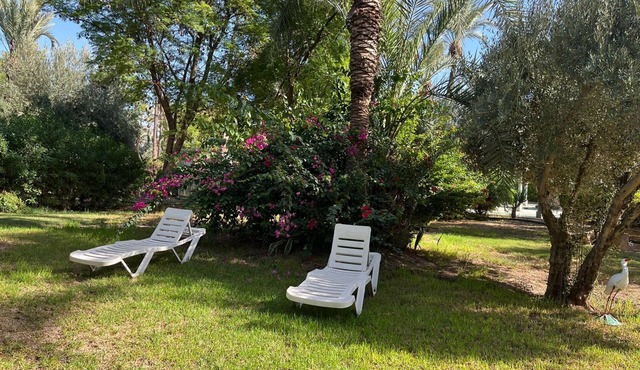 Villa Palmeraie Well occupied access to swimming pool private park