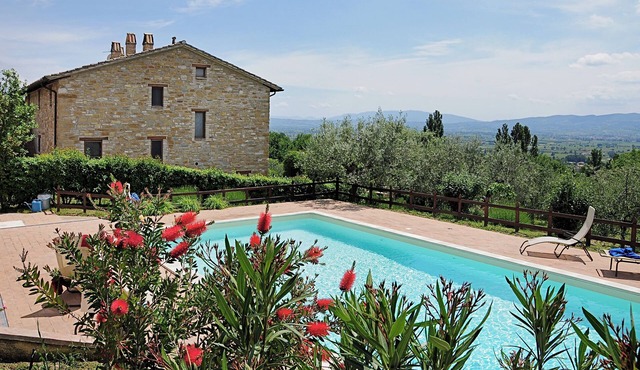 Villa with pool surrounded by an olive grove