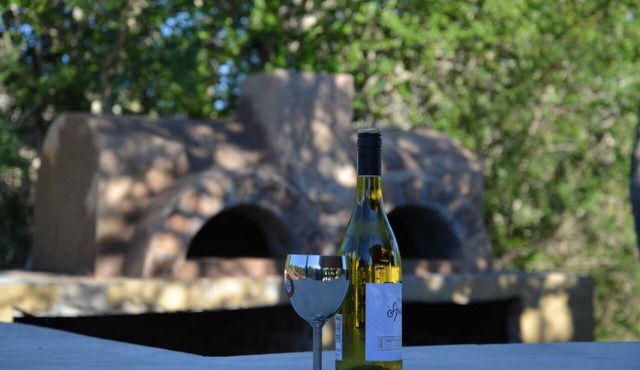 Wild Olive Tree Camp