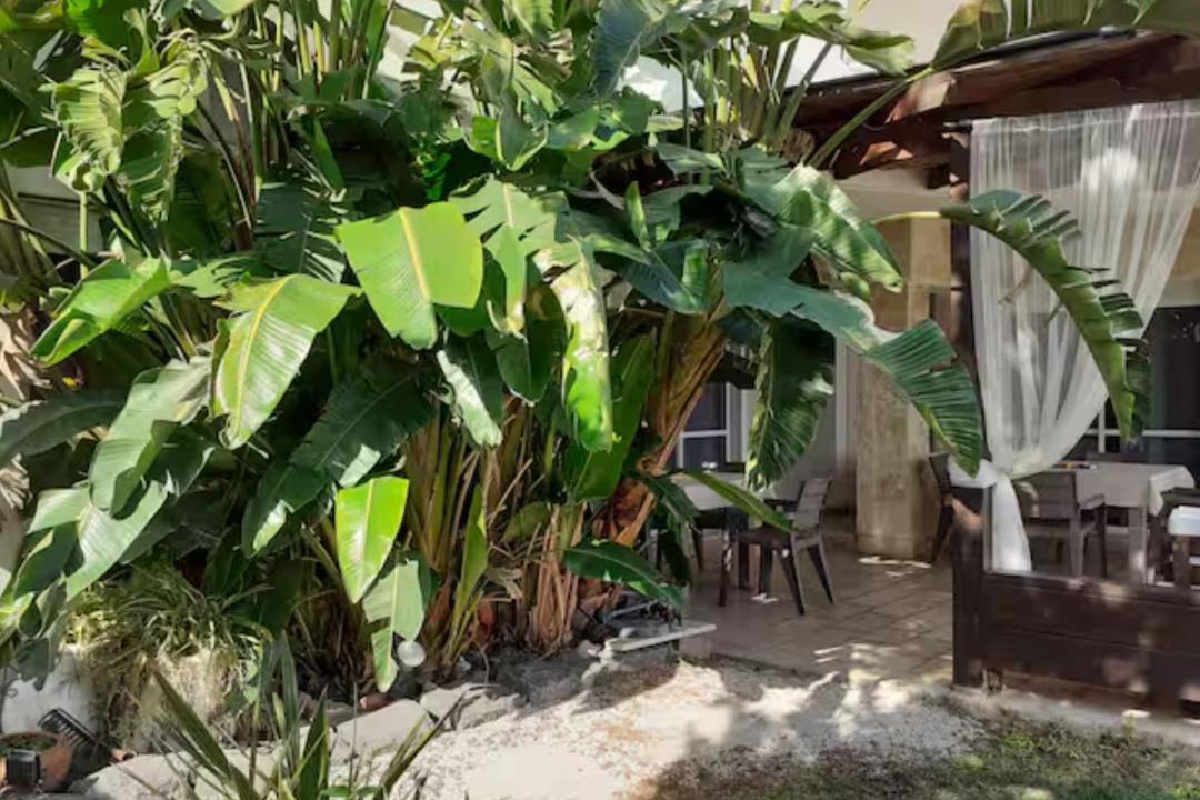Kinneret Apartment | אצל דניאל במושבה - 2 צימרים מושלמים עם נוף לכינרת