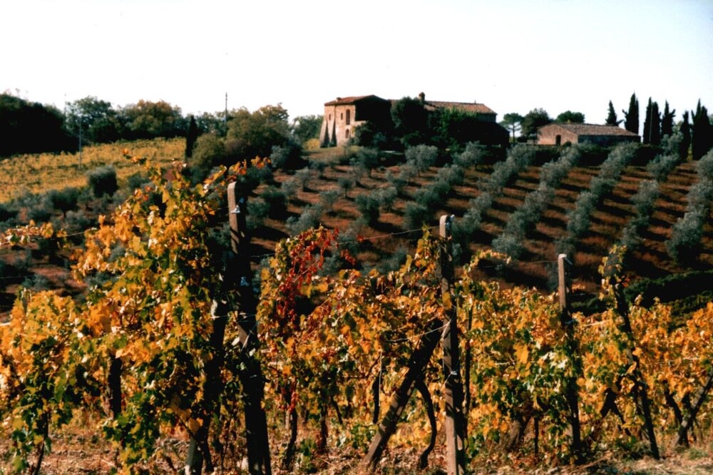 Photo of Outdoor in Castelnuovo Berardenga