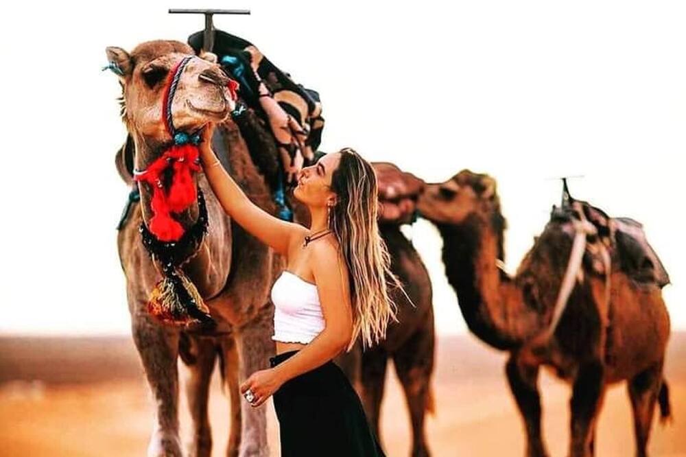 Photo of Others in Merzouga