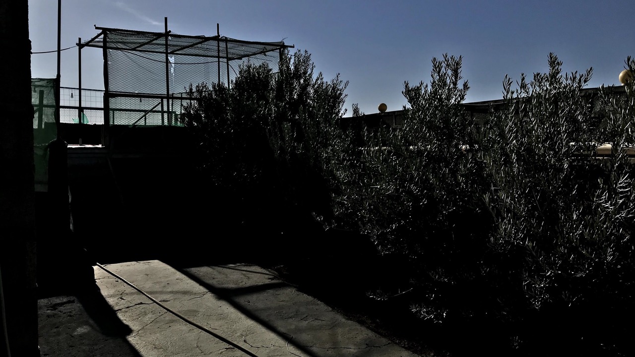 Photo of Outdoor in Medina
