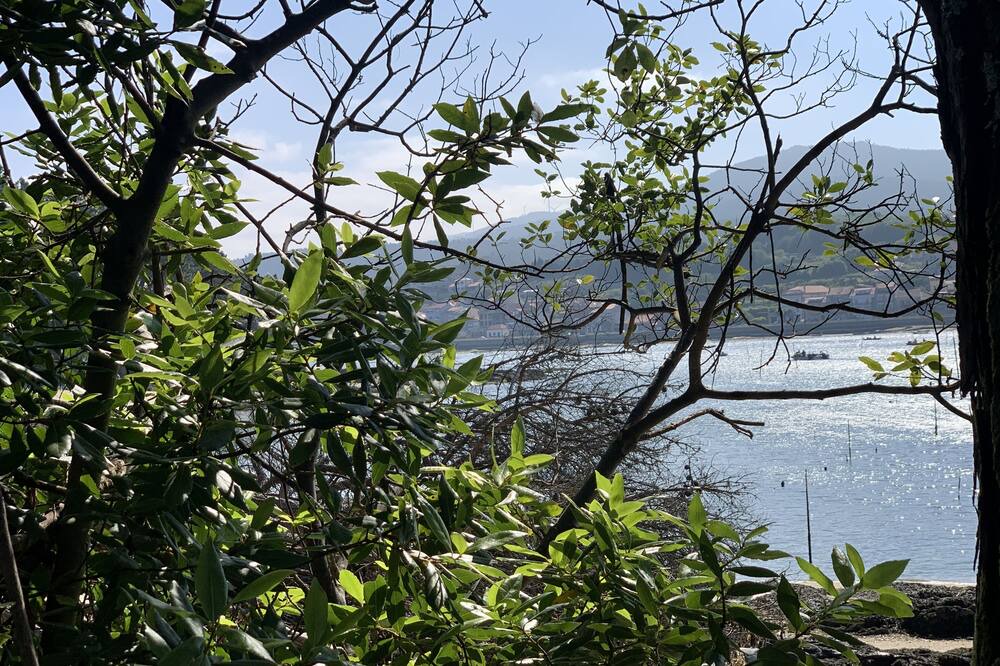 Photo of Outdoor in Vilagarcia de Arousa