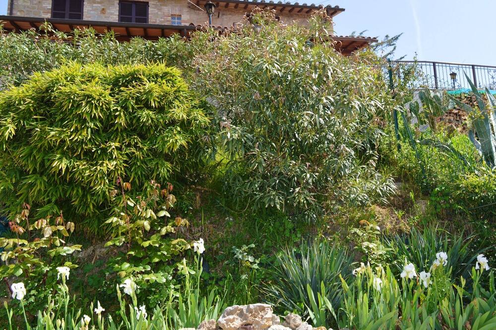 Photo of Outdoor in Torgiano