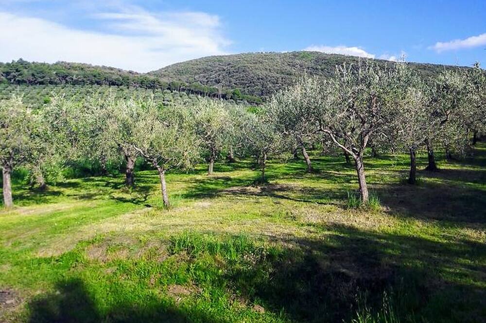 Photo of Outdoor in Magione