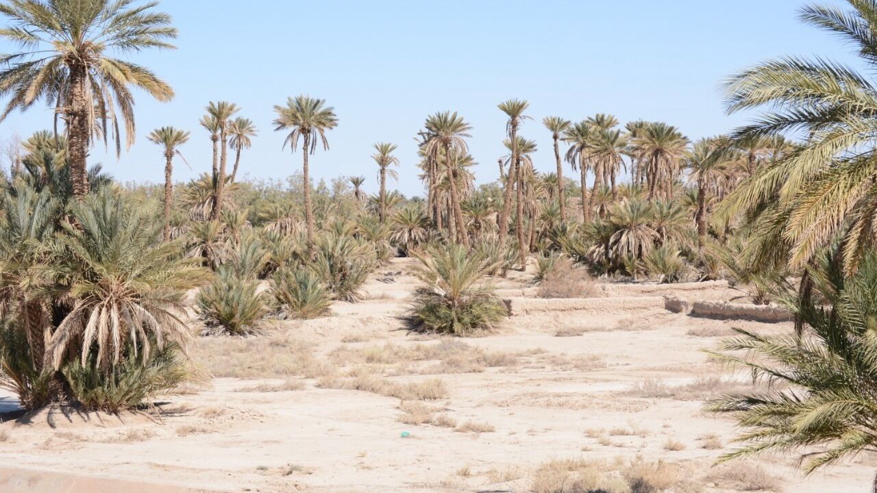 Photo of Outdoor in Rissani