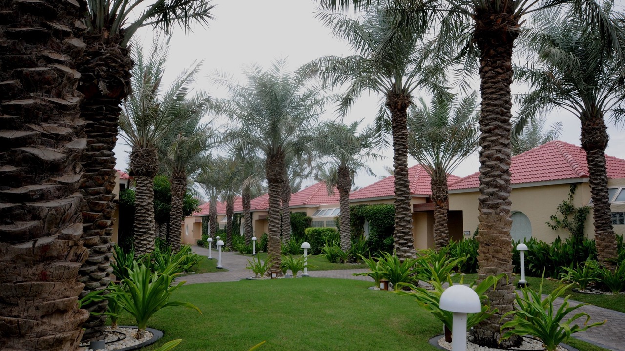 Photo of Outdoor in Sitra
