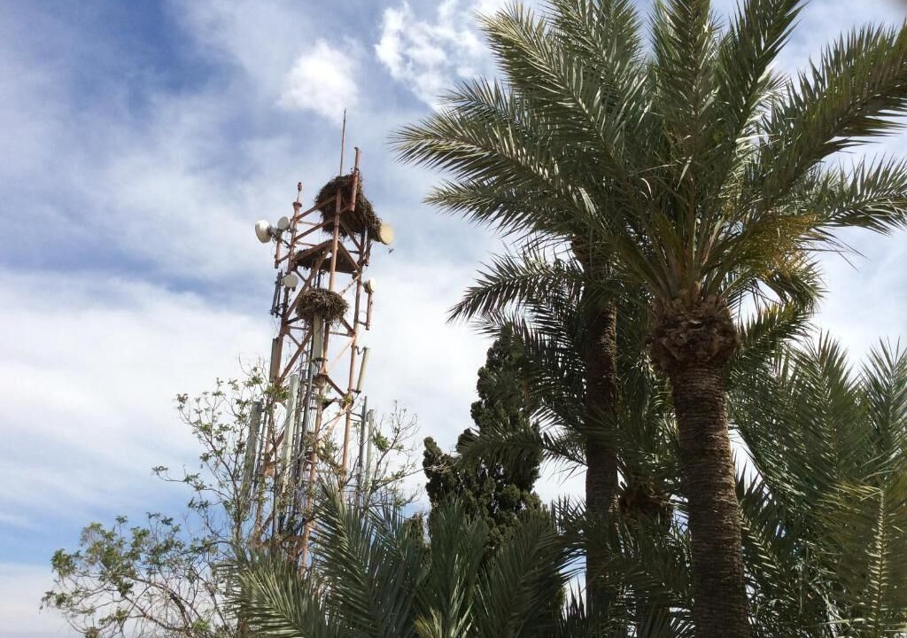 Photo of Outdoor in Arset El Bilk