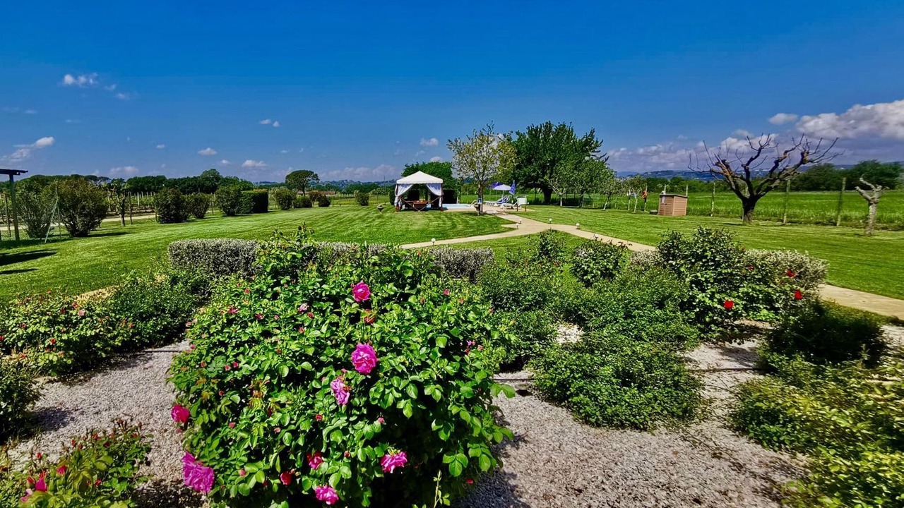 Photo of Outdoor in Torgiano