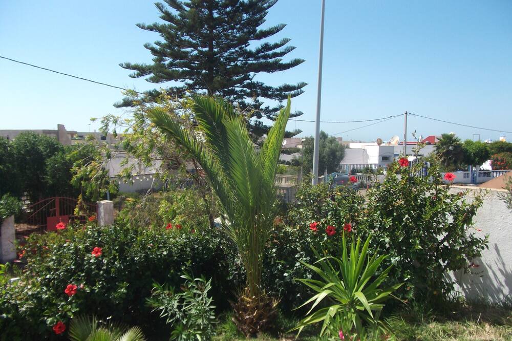 Photo of Outdoor in Safi