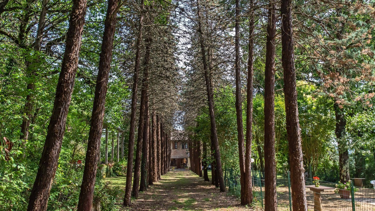 Photo of Outdoor in Po' Bandino