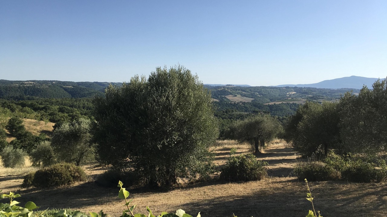 Photo of Outdoor in Po' Bandino