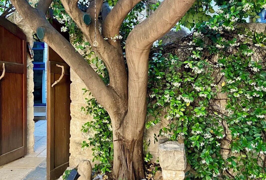 Photo of Outdoor in Artists Colony