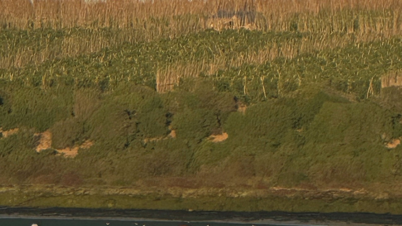 Photo of Outdoor in Oualidia