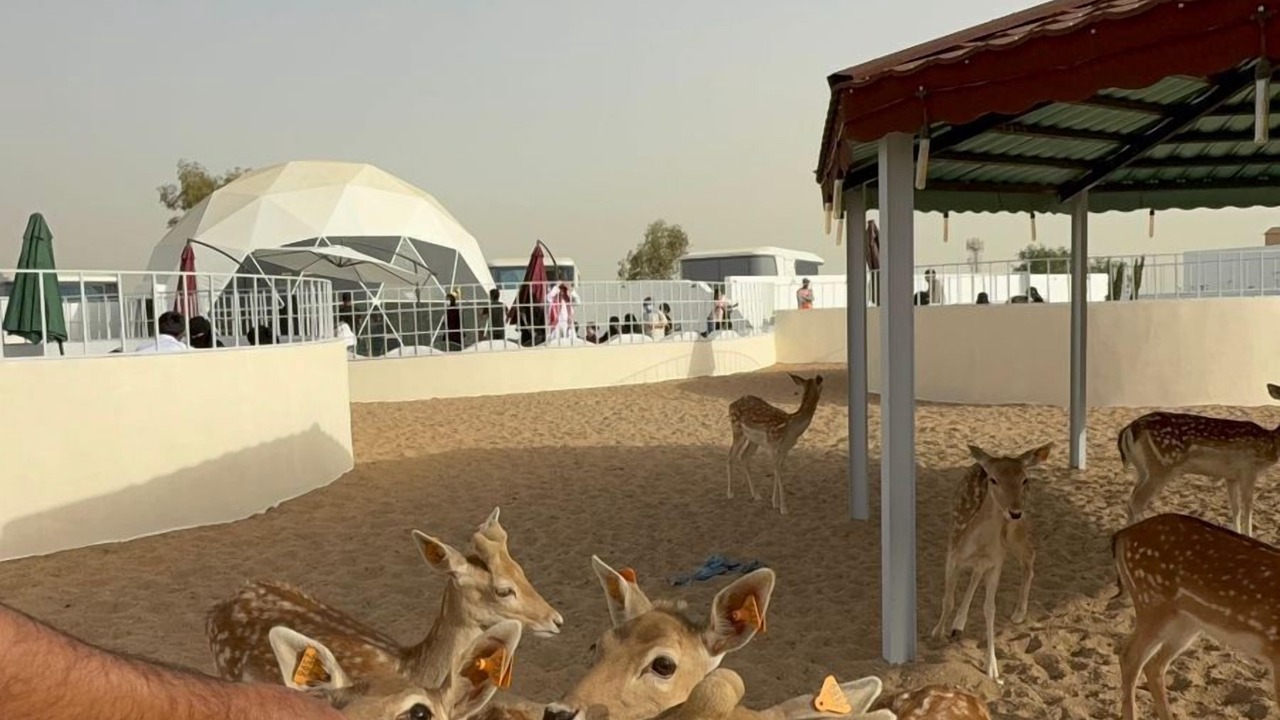 Photo of Others in Al Baha