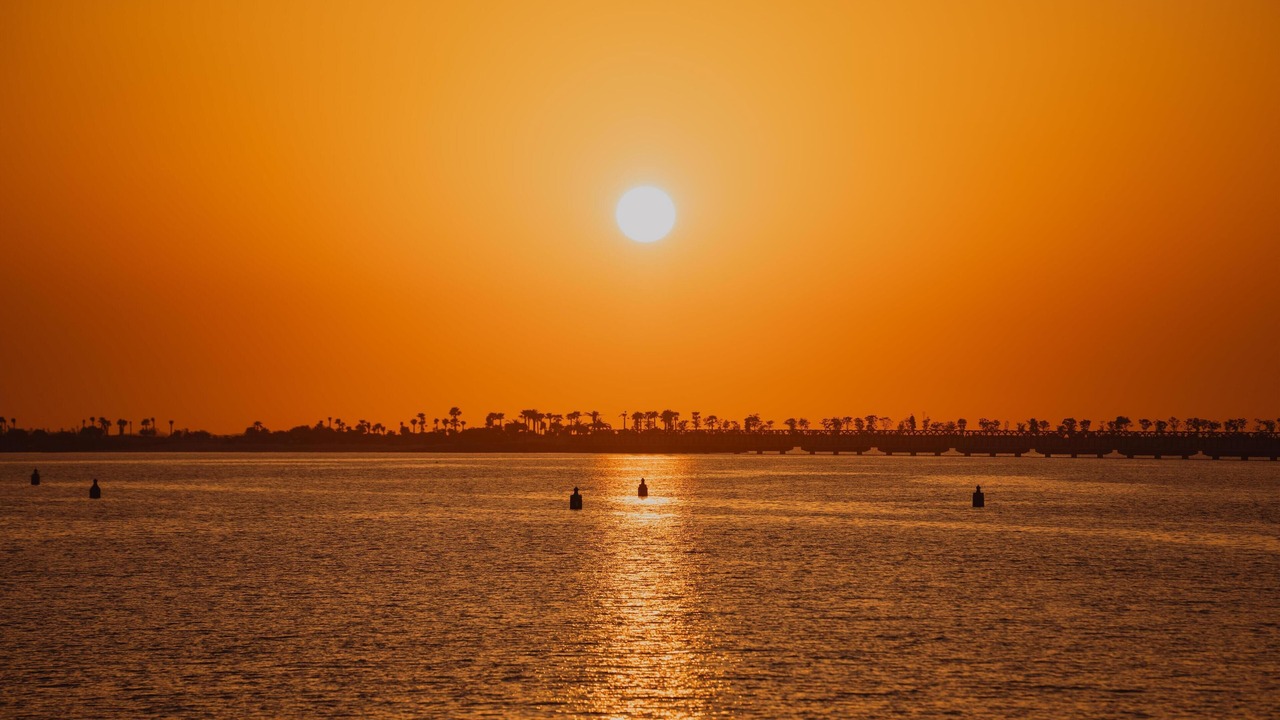 Photo of Others in Tabuk