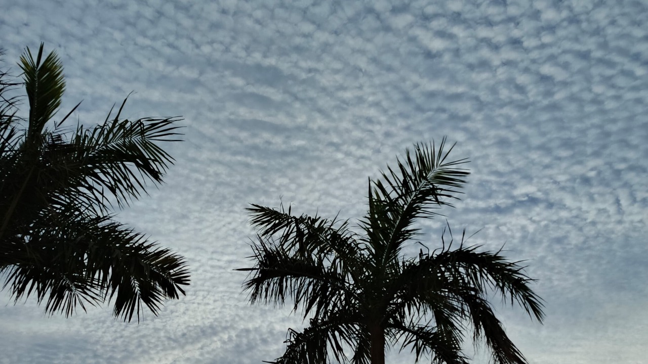 Photo of Outdoor in Al Khuraybah