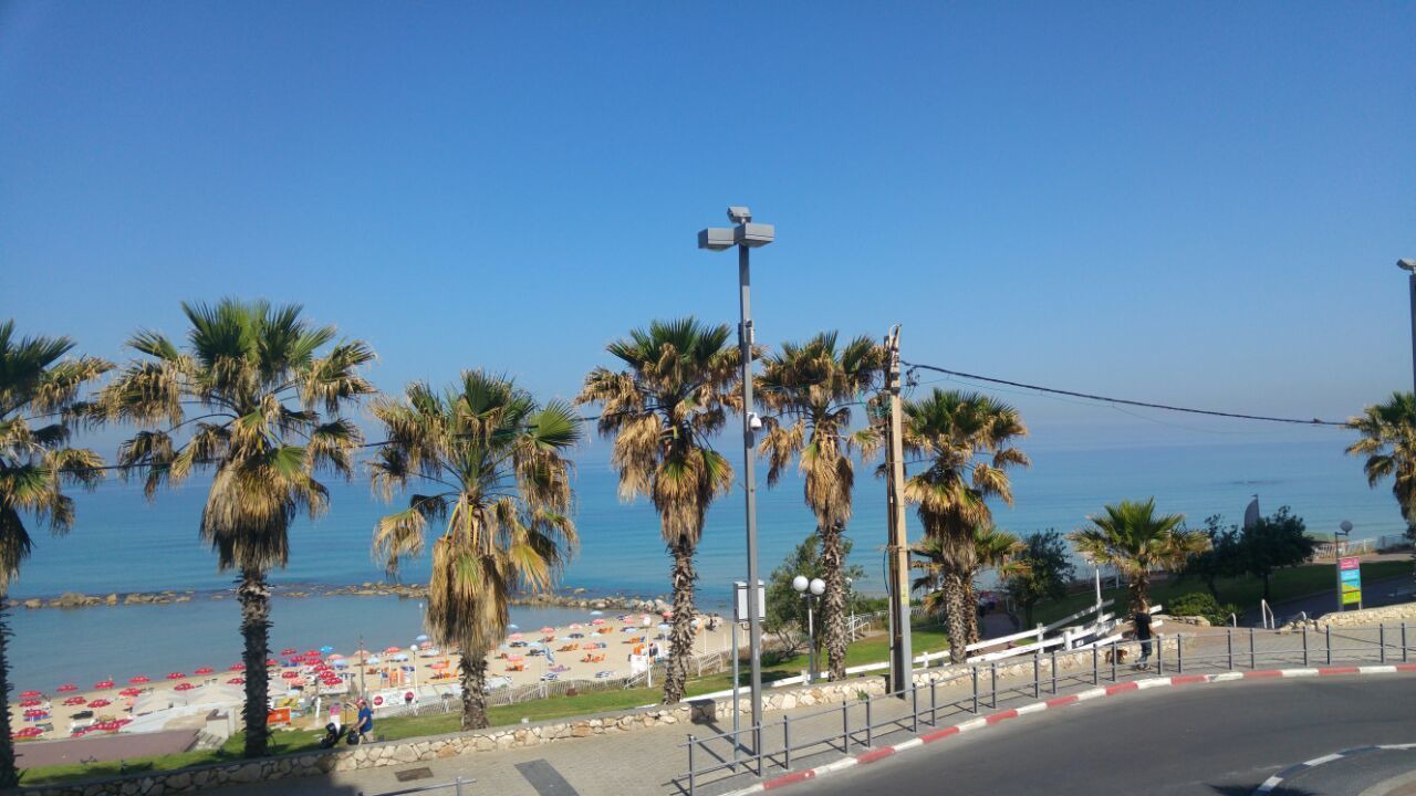Photo of Others in Bat Yam