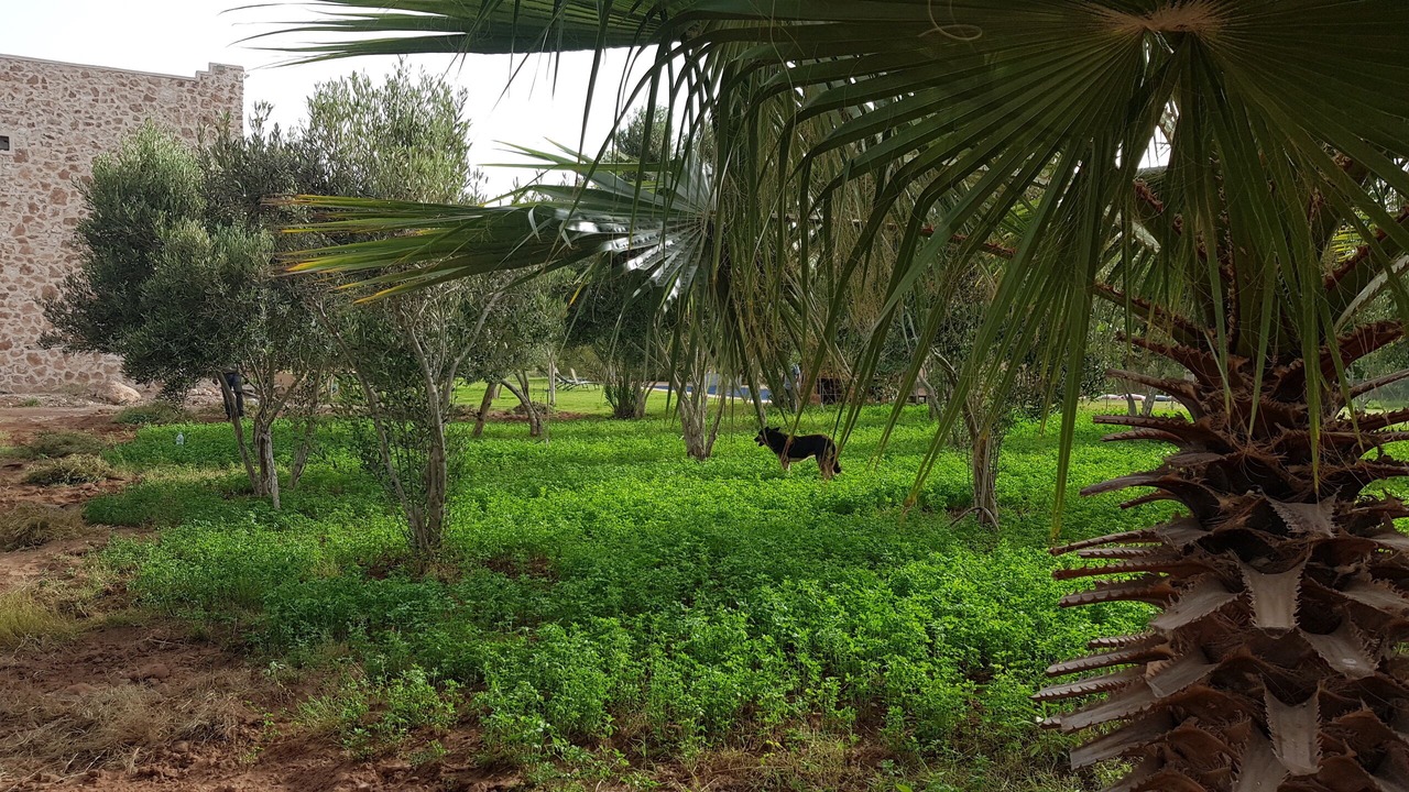 Photo of Outdoor in Sidi Bibi