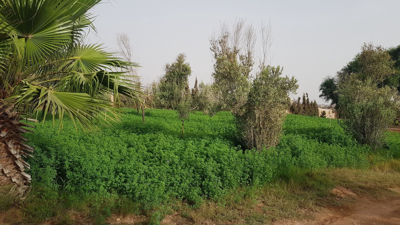Photo of Outdoor in Sidi Bibi
