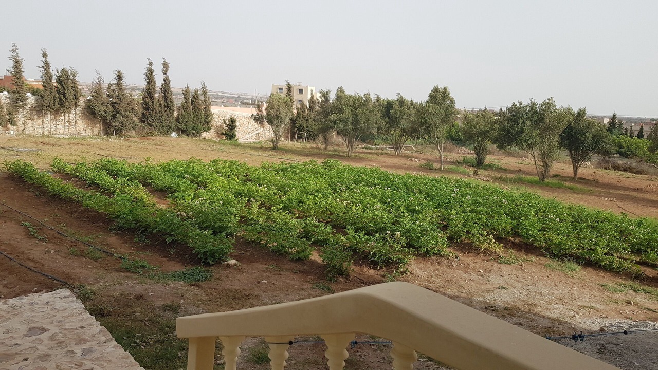 Photo of Outdoor in Sidi Bibi